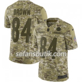 Pittsburgh Steelers Tröjor BROWN 84 Nike Salute to Service - Herr